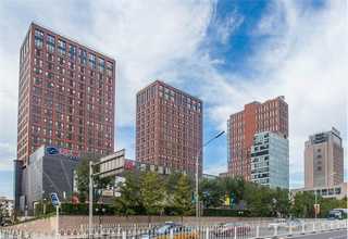 福建有机月子米哪里好