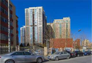 黄浦区毛海毛拉毛机价格