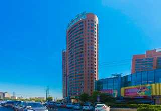 安徽蕉叶式古琴养生